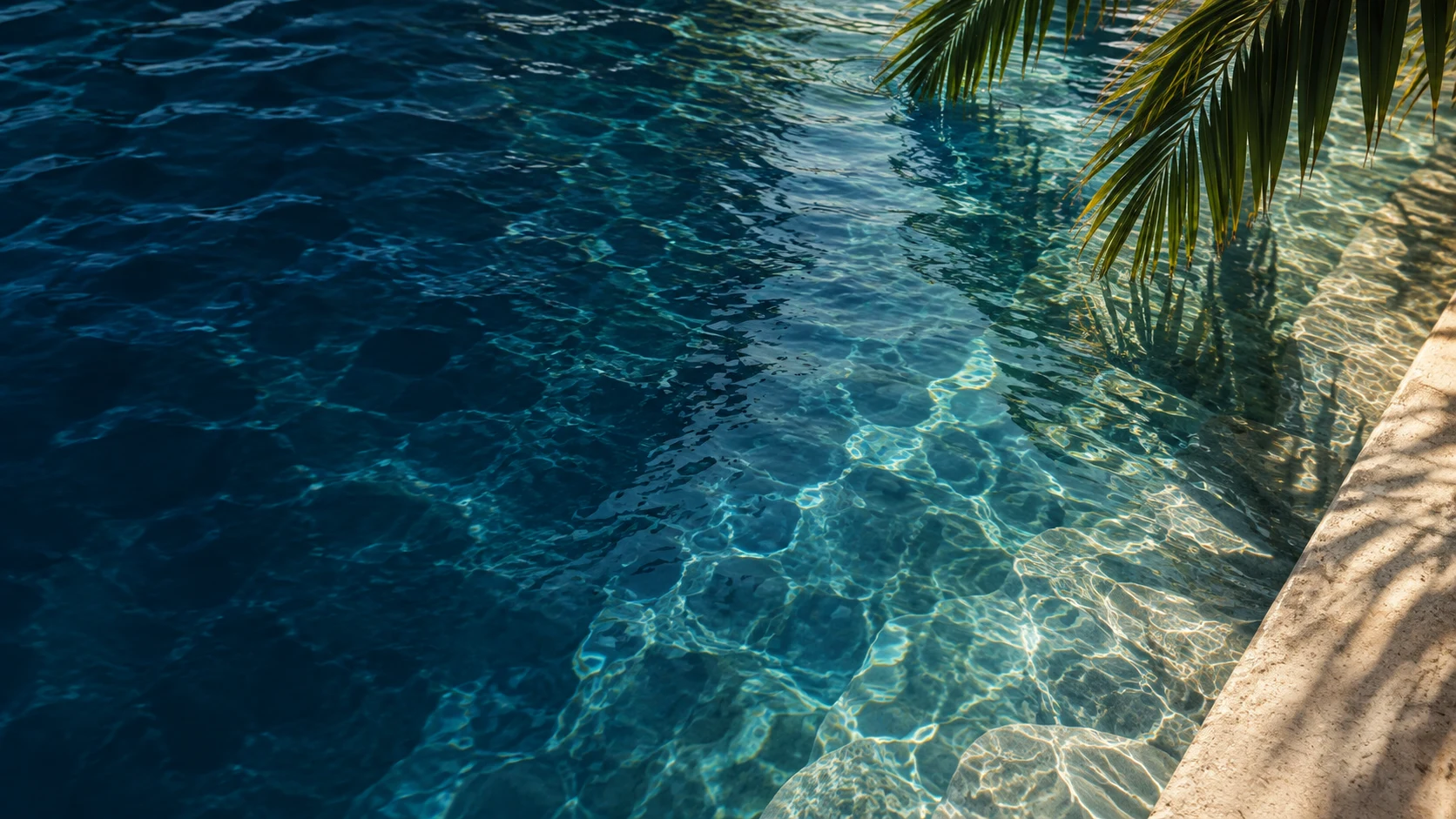Sunlight and palm shadows on blue pool water